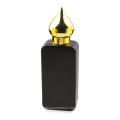 argent color painting elegant 50ml capacity empty glass perfume bottle